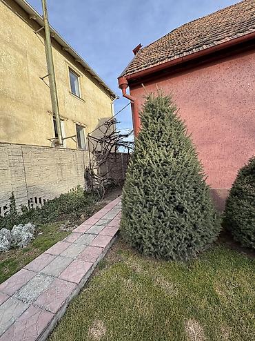 Продажа коттеджей и домов: 🔥 *Продаю отличный двухуровневый мансардный дом*!! 📍Район Церкви — 3