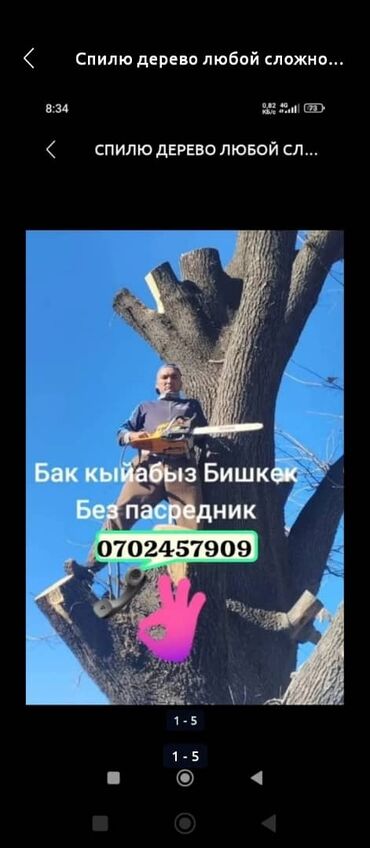 циркуляная пила: Спилю дерево любой сложности. #1 пильшик спил самых сложных опасных