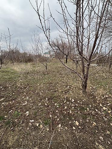 Продажа коттеджей и домов: ✨Продаётся дом в с. Сокулук✨ 🏡Характеристики: • Участок - 14 соток • — 4