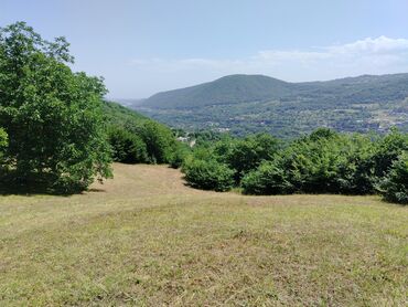 Torpaq sahələrinin satışı: Tikinti — 22