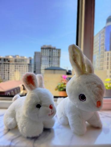 Oyuncaqlar: Oyuncaqlar — 8