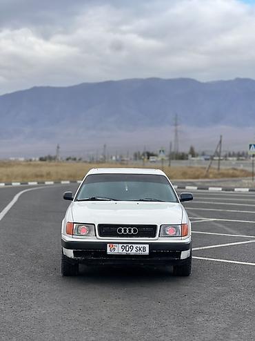 глушитель выхлоп: Audi 100: 1991 г., 2 л, Механика, Бензин, Седан — 1
