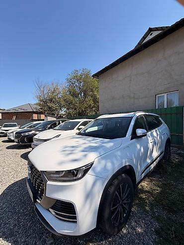 devo tiko: Chery Tiggo: 2023 г., 1.5 л, Автомат, Гибрид, Кроссовер — 2