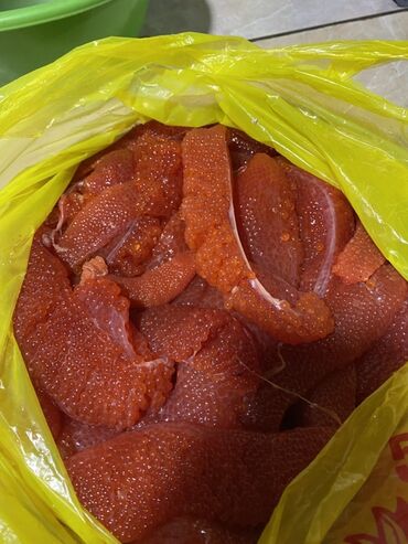 тюли бишкек: Свежий