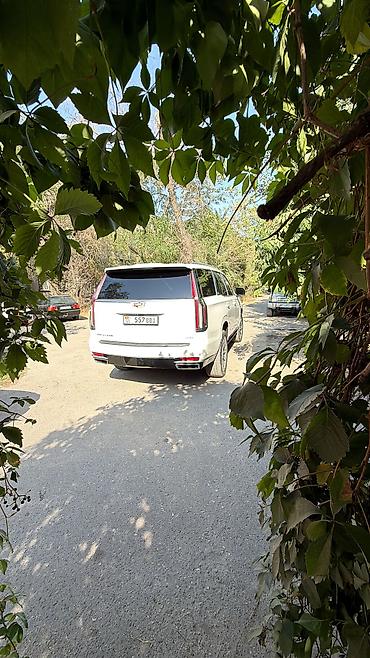 купить escalade: Cadillac Escalade: 2021 г., 6.2 л, Автомат, Бензин, Внедорожник — 3