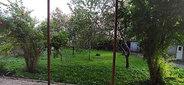 Həyət evləri və villaların satışı: Şəki şəhər Sabit Rəhman küç. dal6/8 — 31