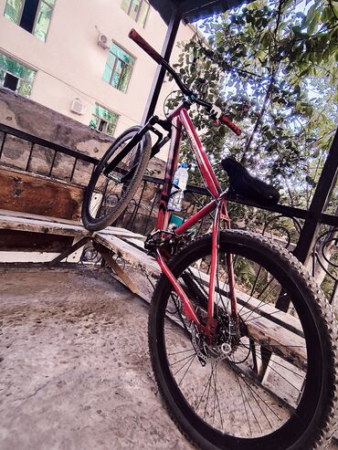 İdman velosipedləri: Yeni Dağ velosipedi Trek, 29" — 3