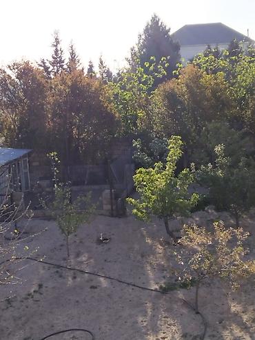 kapsul evler: Satılır: geniş həyəti və işıqlı məkanları olan fərdi yaşayış evi - — 2
