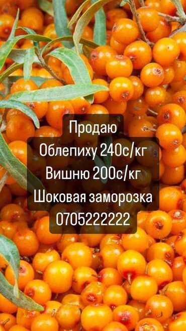 продаю грецкие орехи: Замороженные фрукты, ягоды, Оптом