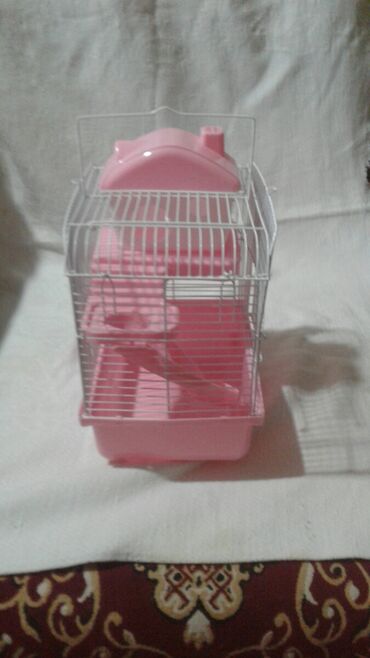 Qəfəslər: Xamyak ucun Qefes satilir qiyməti 25 azn bashqa qefeslerde var -da lalafo.az — 26 Qəfəslər: Xamyak ucun Qefes satilir qiyməti 25 azn bashqa qefeslerde var — 26