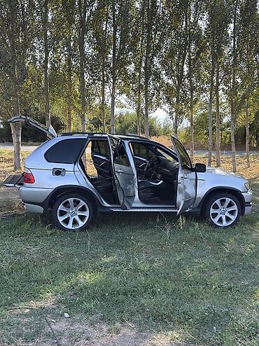 BMW: BMW X5: 2002 г., 4.6 л, Автомат, Бензин, Кроссовер — 3