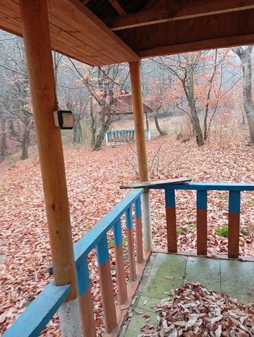 Restoran, kafelər: Masalli İsti su yaxin. 3 hektar ərazi 7 katej 6 bisetka. Tam islek -da lalafo.az — 16 Restoran, kafelər: Masalli İsti su yaxin. 3 hektar ərazi 7 katej 6 bisetka. Tam islek — 16