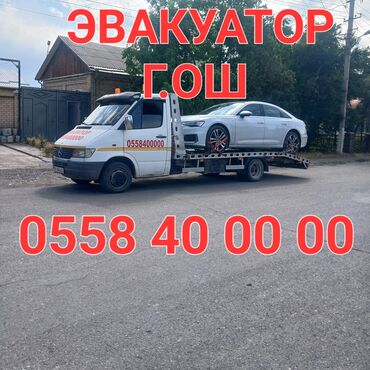 чуй электро: С лебедкой