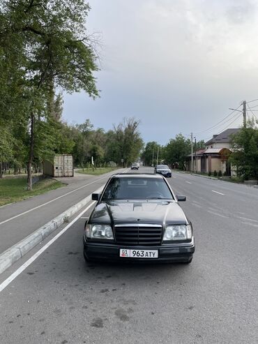 эдильбаевская овца купить: Mercedes-Benz 220: 1990 г., 2.5 л, Механика, Дизель
