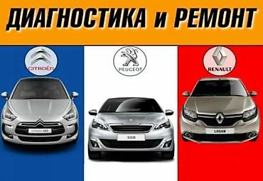 french: Запчасти и жидкости для французов только под заказ Renault Samsung — 2