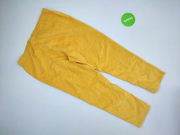 genzie top: Bexleys, Spodnie materiałowe damskie, rozmiar 2XS — 3