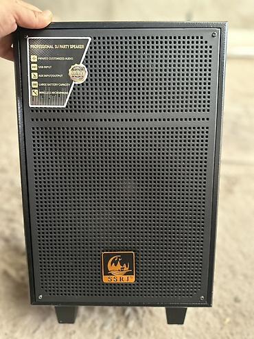 se electronics: Портативная аккумуляторная акустическая система SSRJ SS-3101 Основные — 1
