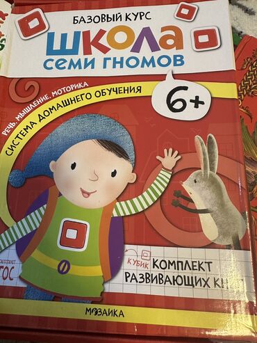 набор юнного художника: Методическое пособие «Школа семи гномов» (6+) Базовый курс. Система