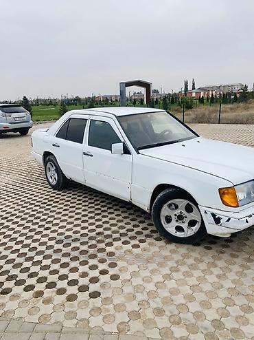 Продажа авто: Mercedes-Benz W124: 1989 г., 2.3 л, Газ, Седан — 6