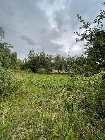 1 bedroom: 30 соток, Для сельского хозяйства, Договор купли-продажи, Красная книга, Тех паспорт — 5