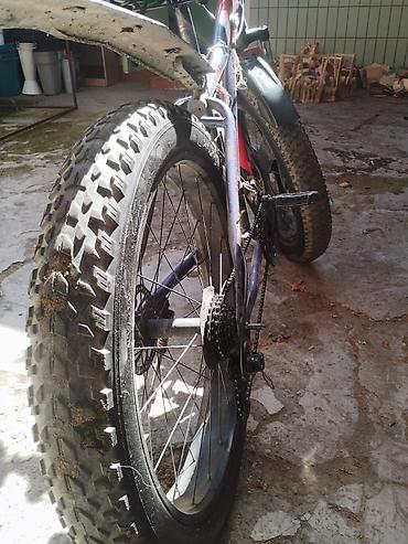 qalin teker velosiped: Fatbike tipli dağ velosipedi - Geniş “fat” təkərlər: Vee Tire Co — 3