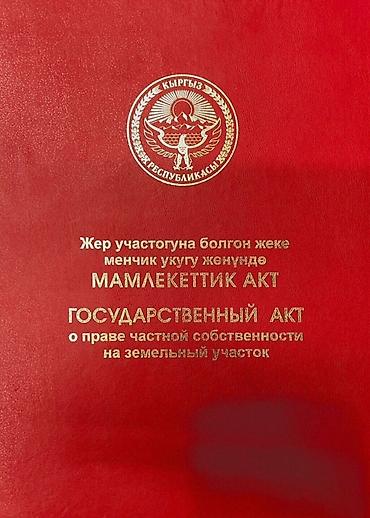 4 соток, Красная книга
