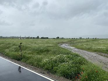 Продажа участков: 72 соток — 1