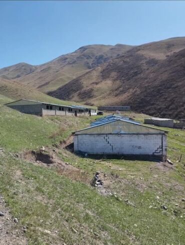 Продажа домов: Дом, 500 м², 1 комната, Агентство недвижимости, Старый ремонт — 12