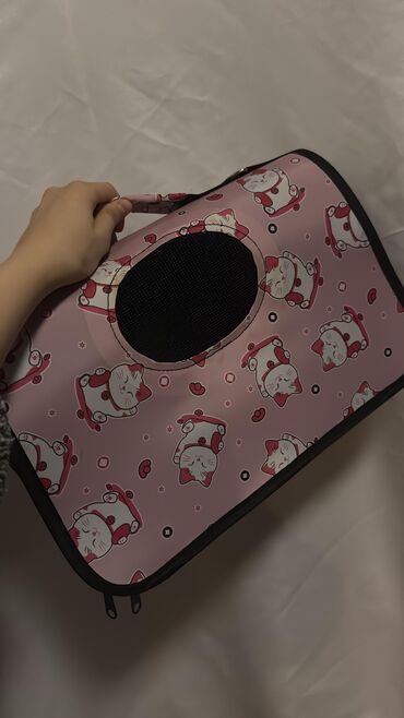 Pişiklər: Şotland yastı qulaq, Dişi, Yaxşı əllərə, Ödənişli çatdırılma — 21