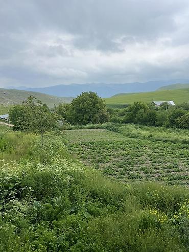 kiraye evlerin kreditle satisi: Qaz var su var ışıq vayfay xətdi var Ferma 45 m uzunluqubda 12 metr — 8