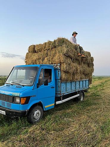 борттук кузов: Жүк ташуучу унаа, Mercedes-Benz, Стандарт, 4 т, Колдонулган — 6