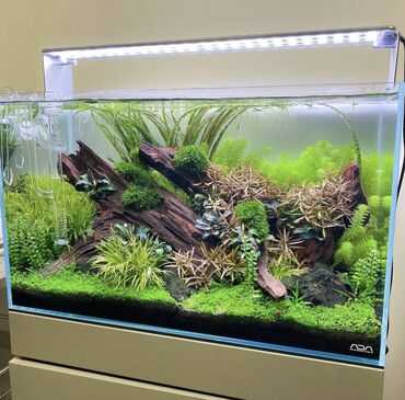 Akvariumlar: Dördbucaqlı Akvarium, Boş, 1000000000 l, Ödənişli çatdırılma