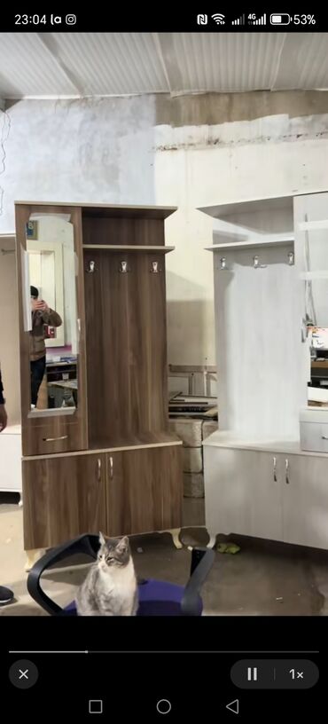 Dolablar: Düz dolab, Dəhliz dolabı — 13