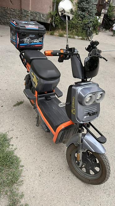 gepard: Электроскутер Gepard/DC Super Sport (электровелосипед-скутер) — 2
