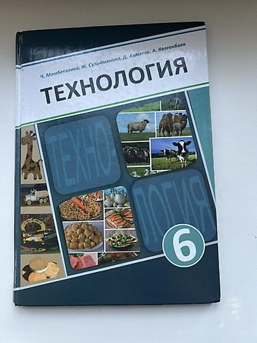 книжки: Учебник «Технология», 6 класс. Авторы: Ч. Мамбеталиев, Ж — 1