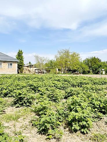 Продажа коттеджей и домов: Продаетьсядом новый с большим участком 12.6соток участок квадратный — 7