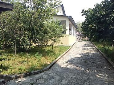 ceyranbatanda kiraye evler 2024: 1200 kv. m, 5 otaqlı, Su, İşıq, Kanalizasiya — 2