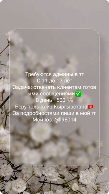 Другие специальности: Другие специальности