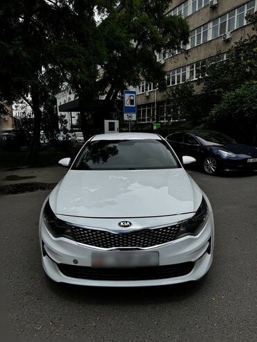 ленд круизер 100: Kia Optima: 2017 г., 2.4 л, Автомат, Бензин, Седан