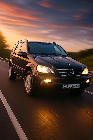g2 master: Mercedes-Benz ML-Class: 2004 г., 2.7 л, Автомат, Дизель, Внедорожник — 6