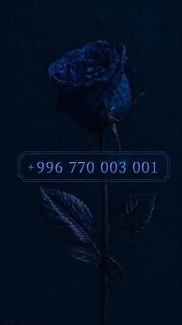 SIM-карты: 👑 Премиальные номера O! Mega | Beeline 🧡 • - 320$ • - 350$ • - — 6