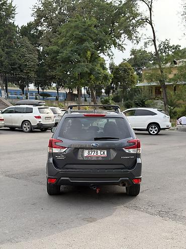 forester: Subaru Forester: 2020 г., 2.5 л, Вариатор, Бензин, Внедорожник — 7