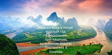 Туристические услуги: Помощь в оформлении всех типов виз. Оплата за услугу по факту