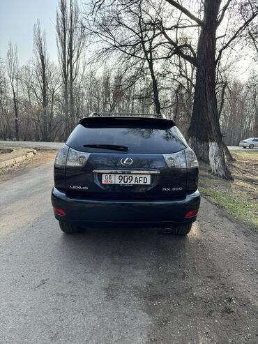 Lexus: Lexus RX: 2003 г., 3 л, Автомат, Газ, Кроссовер — 6