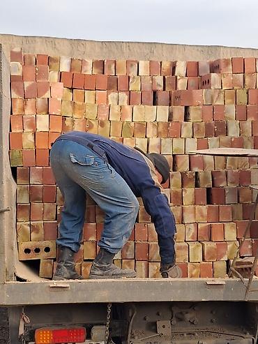ковры бишкек: Продажа кирпича Жжёный стандартный новый. бкз беловодский кирпичный — 2