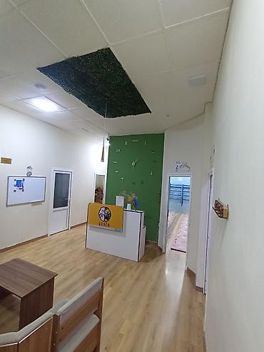 4 göz satışı: Hazır biznes satılır kurs kimi hal hazırda işləyir reyal şəxslər nömrə — 2