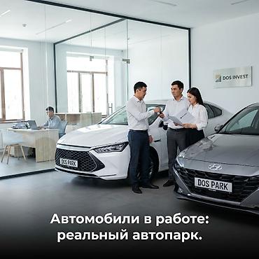 Готовый бизнес: DOS INVEST — управление вашим автомобилем как активом - Запускаем — 8