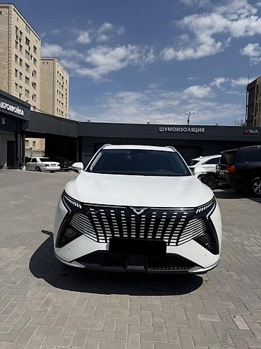 воя фри: Kaiyi x7 (Китай)
Год 2025 — 2