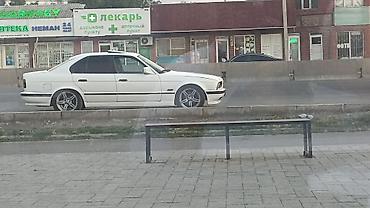 bud e9: BMW 5 series: 1991 г., 2.5 л, Механика, Бензин, Седан — 6