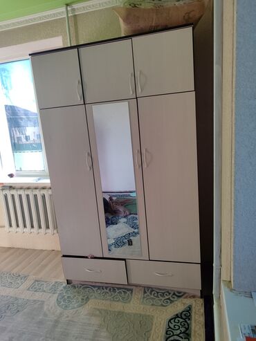 шкаф двустворчатый для одежды: Шкаф для одежды, Прямой, ЛДСП